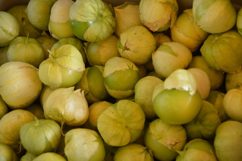 Tomatillo