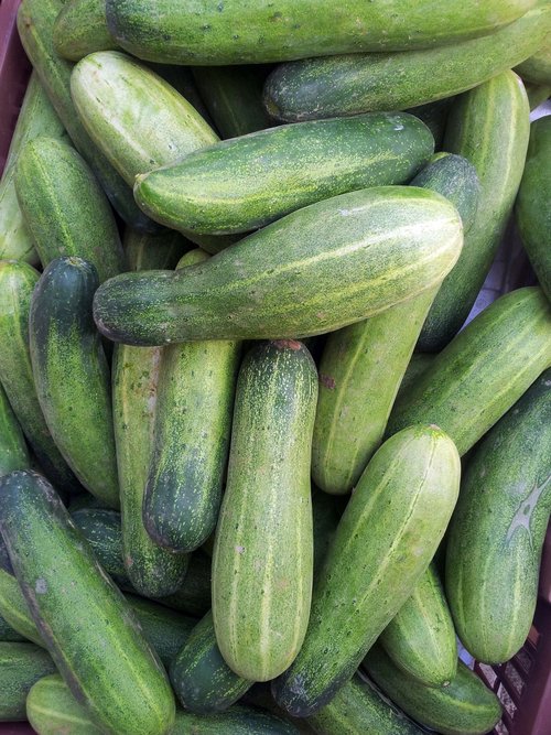 Cucumbers