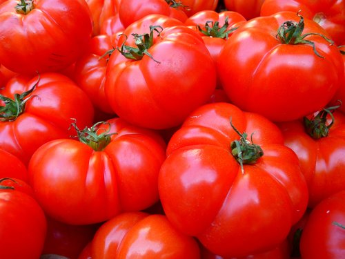 Red Slicing Tomato